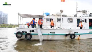 TP.HCM thả gần 1 triệu con giống thủy sản xuống sông Sài Gòn, có cả cá hô, tôm sú