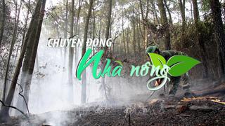 Chuyển động Nhà nông 1/5: Khống chế thành công đám cháy rừng ở huyện Thanh Chương (Nam Đàn, Nghệ An)