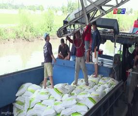 Việt Nam trúng thầu 108.000 tấn gạo xuất sang Indonesia
