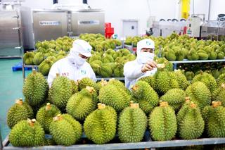 Việt Nam trở thành nước xuất khẩu rau quả lớn thứ hai sang Trung Quốc
