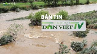 Bản tin Dân Việt TV 3/7: Bắc Bộ vào cao điểm mưa lớn, Thủ tướng yêu cầu  lo cho nông dân và hoa màu