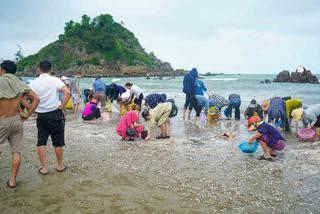 Hàng trăm người dân đổ xô ra nhặt "lộc biển" ở Cửa Lò