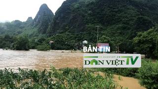 Bản tin Dân Việt TV 4/7: 343ha lúa, hoa màu tại Lạng Sơn bị thiệt hại do mưa lớn 