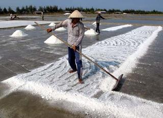Thời tiết bất lợi, diêm dân Hải Phòng gặp khó trong việc giữ gìn nghề muối