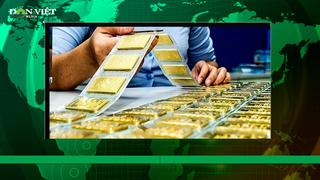 Bản tin Dân Việt TV 5/6: Giá thu mua vàng SJC về dưới 77 triệu đồng/lượng, người dân tiếp tục chen lấn mua vàng
