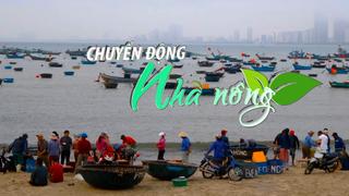 Chuyển động Nhà nông 6/6: Rộn ràng mùa khai thác ruốc biển của ngư dân huyện Diễn Châu (Nghệ An)
