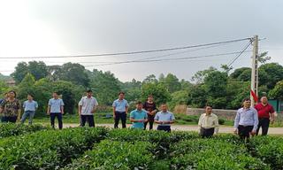 Thái Nguyên: Huyện Phú Lương nỗ lực về đích nông thôn mới