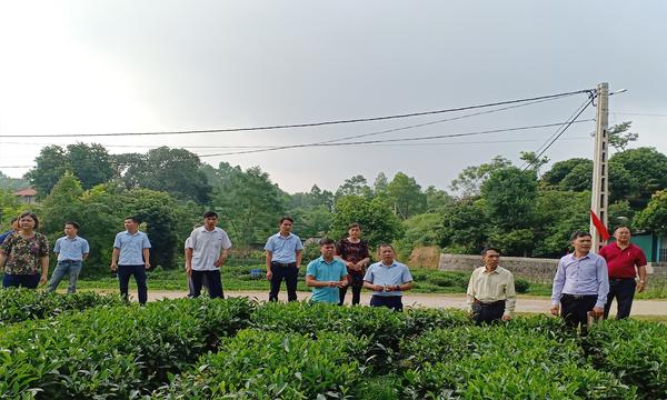 Thái Nguyên: Huyện Phú Lương nỗ lực về đích nông thôn mới loading=