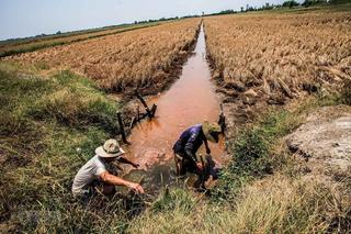 Việt Nam được nhận 1,7 triệu đô la Mỹ để hành động sớm với tình trạng hạn hán, xâm nhập mặn