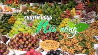 Chuyển động Nhà nông 9/5: Ban hành Kế hoạch Tổ chức Lễ hội trái cây - Tiền Giang năm 2024