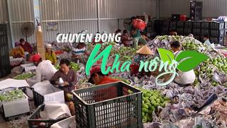 Chuyển động Nhà nông 10/4: Mỹ tiếp tục tiêu thụ lượng lớn nông sản của Việt Nam