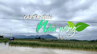 Chuyển động Nhà nông 10/5: Hơn 120 ha lúa, hoa màu, ao nuôi trồng thủy sản tại Tuyên Quang bị ngập úng
