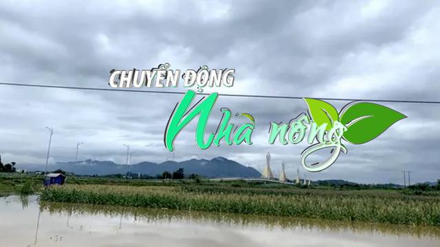 Chuyển động Nhà nông 10/5: Hơn 120 ha lúa, hoa màu, ao nuôi trồng thủy sản tại Tuyên Quang bị ngập úng loading=
