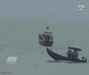 Quảng Ngãi: Còn nhiều tàu cá không đăng ký số hoạt động tự do trên biển