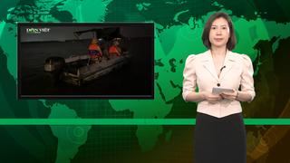 Bản tin Dân Việt Nóng 12/4: Cảnh sát tăng cường tuần tra sông Hồng sau phản ánh về "cát tặc" của Dân Việt