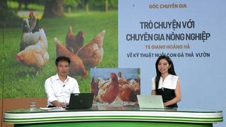 GÓC CHUYÊN GIA: Các phương pháp phòng bệnh cho đàn gà thả vườn được chuyên gia khuyên dùng 