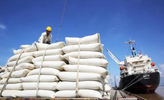 Xuất khẩu gạo tăng 20,5% trong gần nửa đầu năm 2024