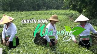 Chuyển động Nhà nông 17/3: Hà Nội hỗ trợ đồng bào miền núi sản xuất nông nghiệp theo chuỗi giá trị