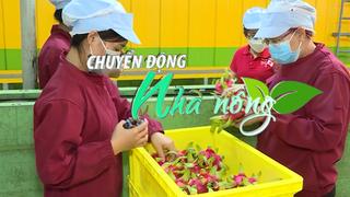 Chuyển động Nhà nông 17/6: Thị trường EU tăng cường kiểm tra đối với các mặt hàng nông sản của Việt Nam