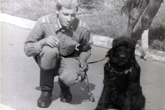Clip: Giống chó quý hiếm được lai từ 20 loại, chuyên thực hiện những nhiệm vụ đặc biệt ở Nga
