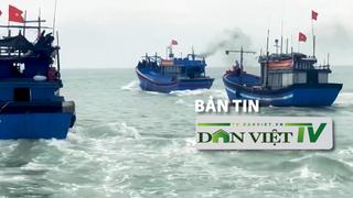 Bản tin Dân Việt TV 18/6: Phó Thủ tướng chỉ đạo xử lý nghiêm các vụ đánh bắt thủy sản bất hợp pháp