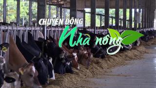 Chuyển động Nhà nông 19/3: Lâm Đồng sẽ đáp ứng 20% nhu cầu thức ăn chăn nuôi vào năm 2025