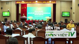 Bản tin Dân Việt TV 19/7: Công tác Hội và phong trào nông dân hoàn thành 14/18 chỉ tiêu đạt trên 50% kế hoạch