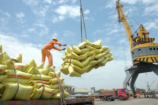 9 loại gạo Việt xuất khẩu châu Âu được miễn thuế
