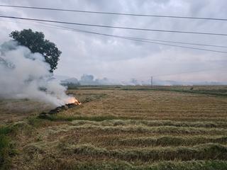 Ô nhiễm môi trường từ tình trạng đốt rơm rạ sau vụ mùa tại Nghệ An 