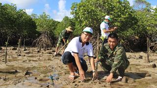 Nhân rộng phong trào "trồng cây, gây rừng" tại Bà Rịa - Vũng Tàu 