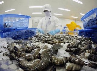 Xuất khẩu tôm Việt sang Hàn Quốc gặp khó, Vasep đề nghị gỡ bỏ hạn ngạch