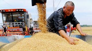 Trung Quốc đã triển khai những biện pháp gì để đảm bảo an ninh lương thực?