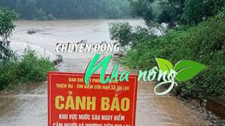 Chuyển động Nhà nông 23/7: Nước lũ dâng cao, nhiều khu vực bị chia cắt tại huyện Sơn Động, tỉnh Bắc Giang