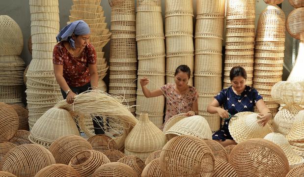 Mặt hàng "hot" mới của Việt Nam, triển vọng xuất khẩu đạt tỷ đô