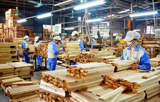 Xuất khẩu gỗ Việt Nam trên đà tăng trưởng, đâu là thị trường lớn nhất?