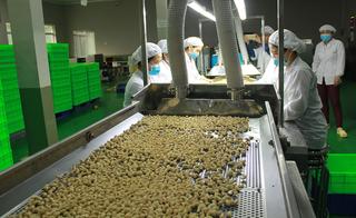 Lâm Đồng: Phát triển vùng nguyên liệu tập trung gắn với chế biến nông sản