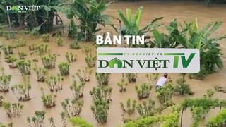 Bản tin Dân Việt TV 26/6: Mưa lớn khiến nhiều nơi ở Lào Cai ngập sâu, thiệt hại hàng chục héc ta hoa màu