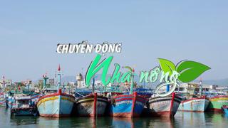 Chuyển động Nhà nông 25/7: Bình Định tạm thời thu hồi giấy phép khai thác thủy sản 190 tàu cá
