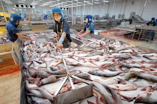 Chỉ trong 1 tháng, Mỹ đã bỏ ra đến 38 triệu đô la mua một loài cá của Việt Nam
