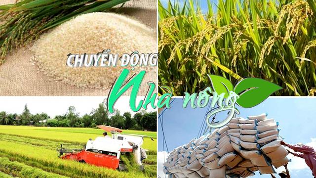 Chuyển động Nhà nông 27/4: Dự báo thế giới thiếu 7 triệu tấn gạo, cơ hội cho xuất khẩu gạo Việt Nam