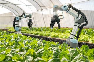 Trung Quốc ứng dụng trí tuệ nhân tạo AI vào nông nghiệp như thế nào?