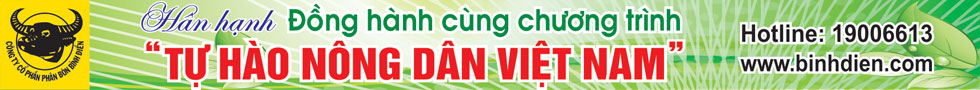 Dân Việt Media