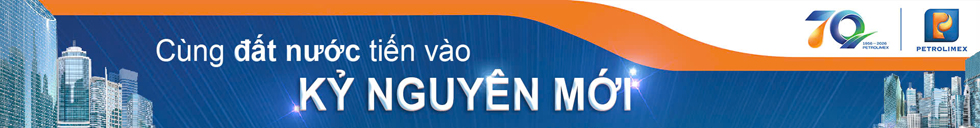 Dân Việt Media