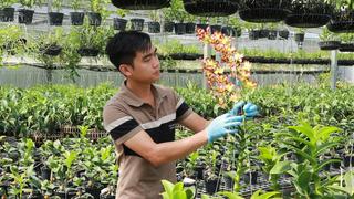 Thăm vườn phong lan của chàng trai 27 tuổi, mỗi năm lời 2 tỷ đồng ở Lâm Đồng