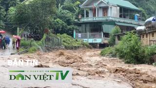 Bản tin Dân Việt TV 11/7: La Nina quay trở lại - Ứng phó thế nào trước nguy cơ bão lũ dồn dập?