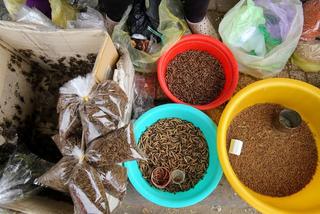 Chợ sâu bọ "độc lạ" có 1-0-2 ở TP. Hồ Chí Minh