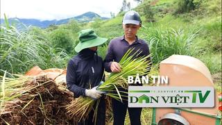 Bản tin Dân Việt TV 15/7: Nhiều diện tích lúa của nông dân huyện vùng cao bị mất mùa do mua giống trôi nổi