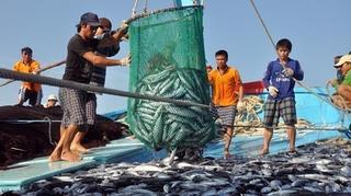 Ngư dân bám biển, khai thác tối đa nguồn lợi từ đại dương