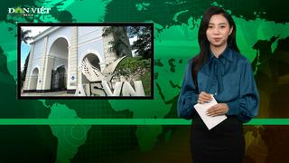 Bản tin Dân Việt Nóng 20/3: Cảnh báo thương hiệu "trường quốc tế" sau vụ lùm xùm Trường Quốc tế Mỹ AISVN