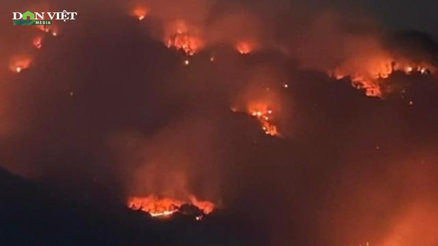 Rừng trên địa bàn huyện Tri Tôn, tỉnh An Giang tiếp tục cháy lớn trong đêm